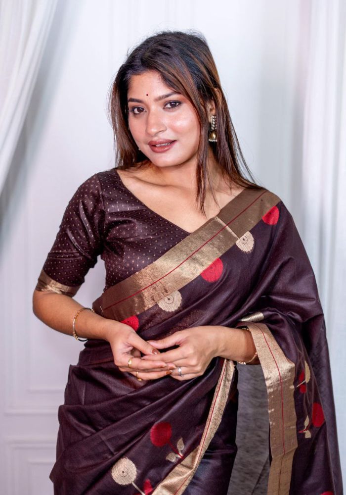 Coffee Soft Silk Saree