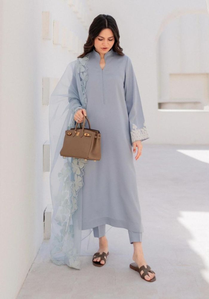 Grey Embroidered Chanderi Silk Kurta Set with Organza Dupatta for Women