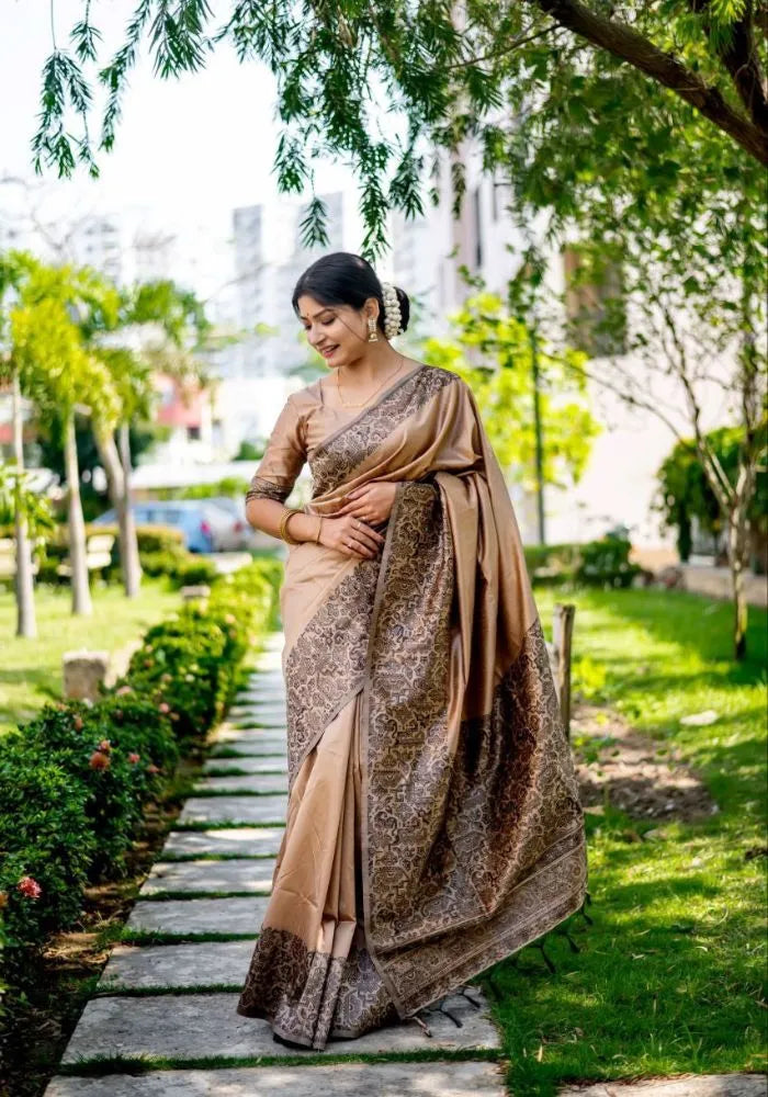 raw silk saree bridge